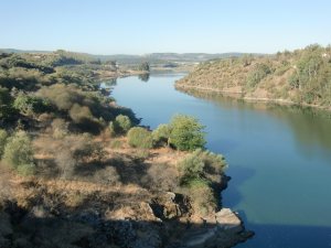 4 Almaraz Bridge over Tagus (6) river from bridge